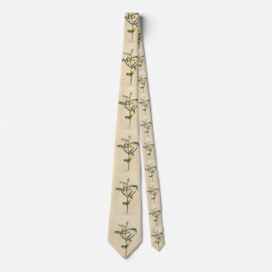 Children's Warbler from Audubon's Birds of America Tie