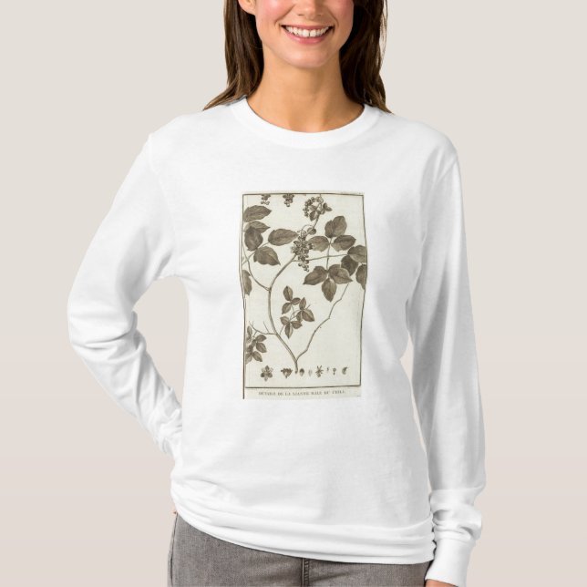 Chile 3 T-Shirt (Front)