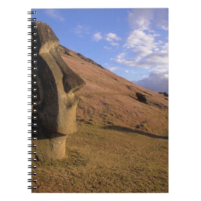 Chile, Easter Island. Hillside with Moai Notebook (Front)