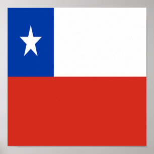 Chile Flag Chilean Native Ethnicity Homeland Pride Poster