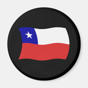 Chile Flag Magnet