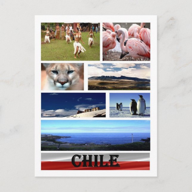 Chile - Mosaic - Postcard (Front)