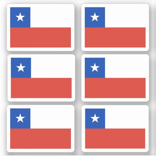 Chilean flag (Front)