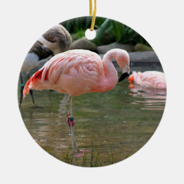 Chilean Flamingo Ceramic Tree Decoration (Front)