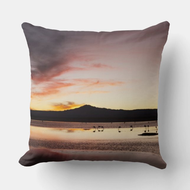 Chilean Flamingo Cushion (Front)