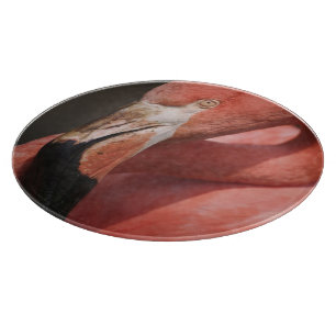 Chilean Flamingo, Phoenicopterus chilensis Cutting Board