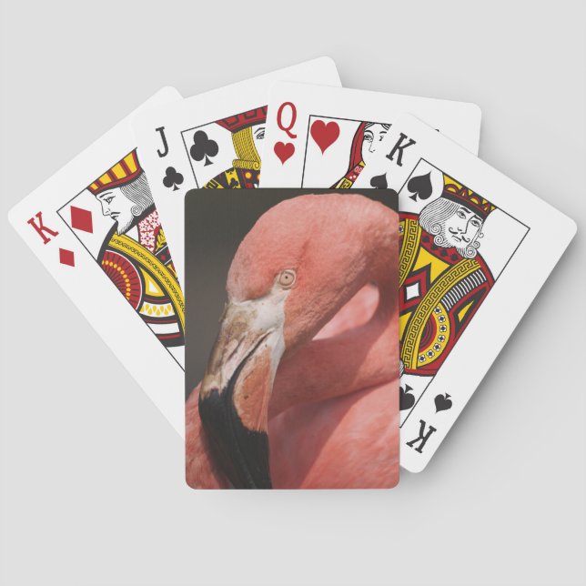 Chilean Flamingo, Phoenicopterus chilensis Playing Cards (Back)