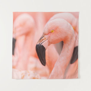 Chilean flamingo (Phoenicopterus chilensis), with Tapestry