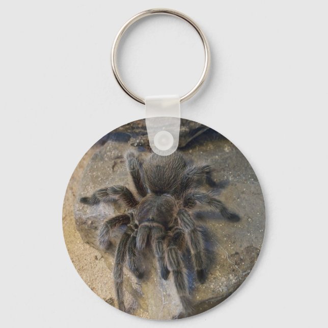 Chilean Rose Hair Tarantula Key Ring (Front)