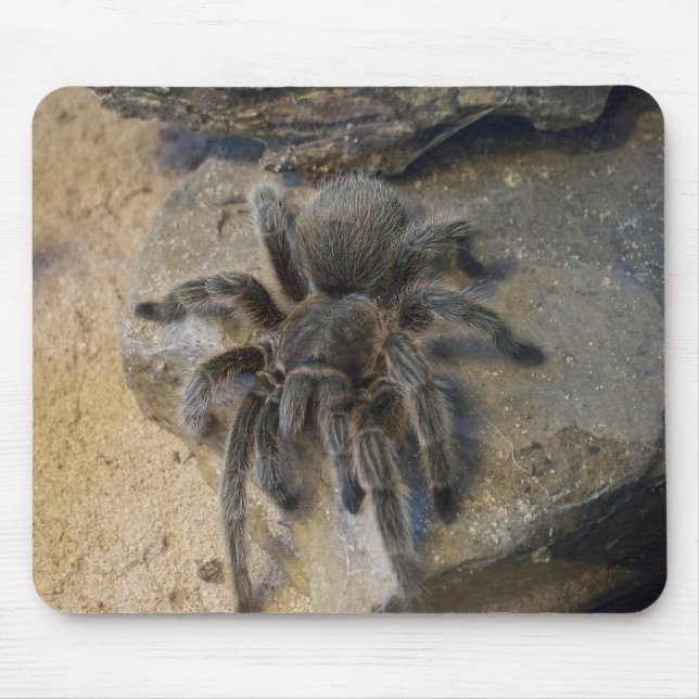 Chilean Rose Hair Tarantula Mouse Pad (Front)
