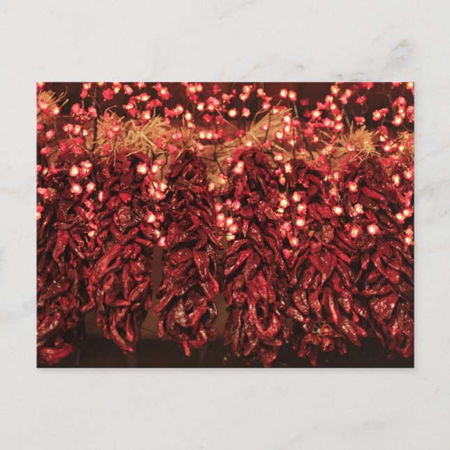 Chili ristras with holiday lights postcard (Front)