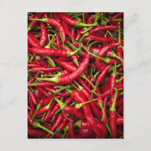 Chilies Postcard