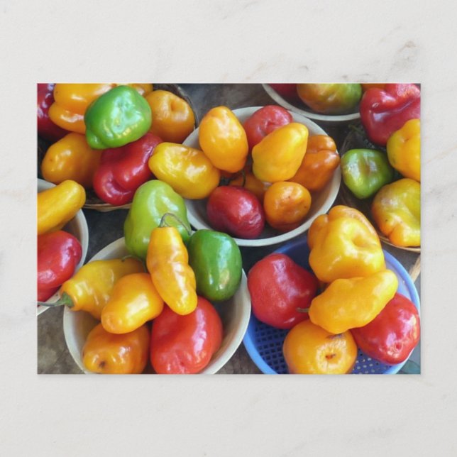 CHILIES POSTCARD (Front)