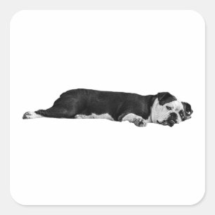 Chill Bulldog Sticker