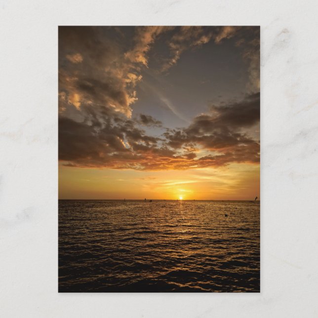 Chill Out in the Florida Sunset Postcard (Front)