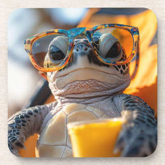 chill turtle coaster