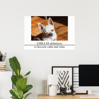 Chillax Chihuahua sleepy relaxed tongue out Photo Poster
