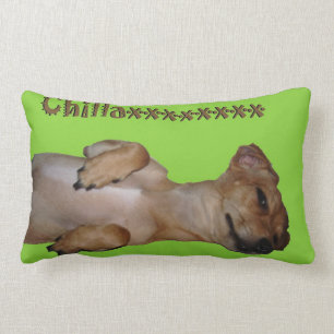 Chillaxin Chiweenie Lumbar Throw Pillow