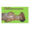 Chillaxin Chiweenie Sticker