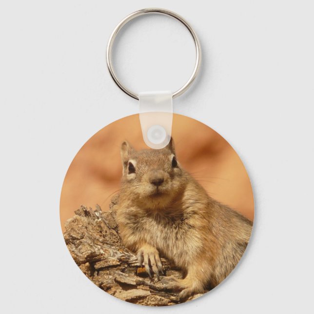 Chilled Out Ground Squirrel Key Ring (Front)