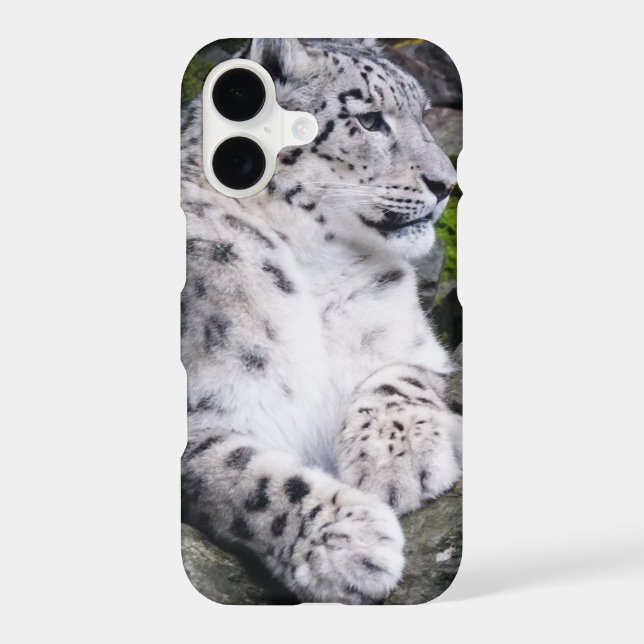 Chilled Out Snow Leopard (Back)