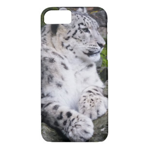 Chilled Out Snow Leopard iPhone 8/7 Case