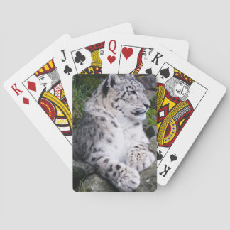 Chilled Out Snow Leopard Playing Cards