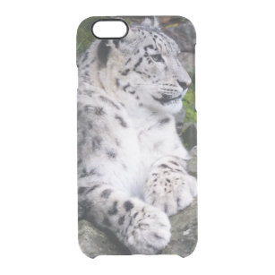 Chilled Out Snow Leopard Clear iPhone 6/6S Case