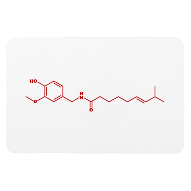 Chilli Capsaicin Molecular Chemical Formula Magnet (Horizontal)