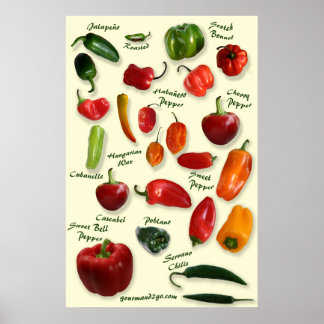 Chilli ID Poster