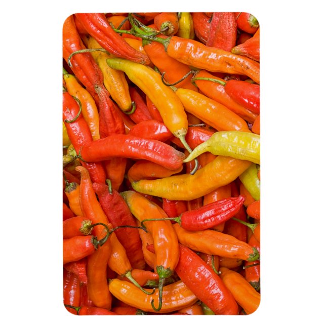 Chilli Magnet (Vertical)