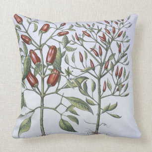 Chilli Pepper plants, from the 'Hortus Eystettensi Cushion