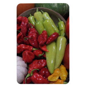 Chilli Peppers Etc. Magnet