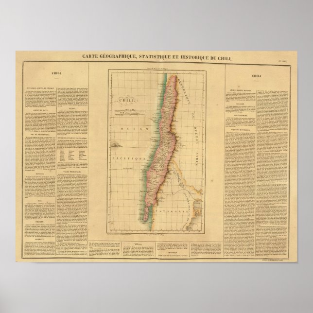 Chilli Poster (Front)