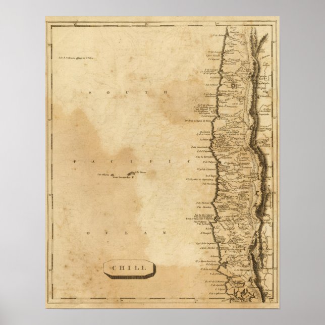 Chilli Poster (Front)