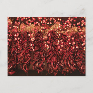 Chilli ristras with holiday lights postcard