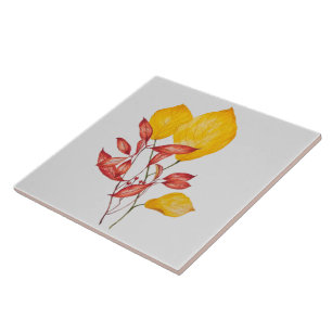 Chilli & Turmeric on a Ceramic Tile