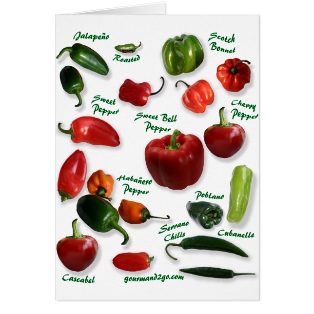 Chilli Varieties (Front)