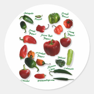 Chilli Varieties Classic Round Sticker