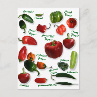Chilli Varieties Postcard
