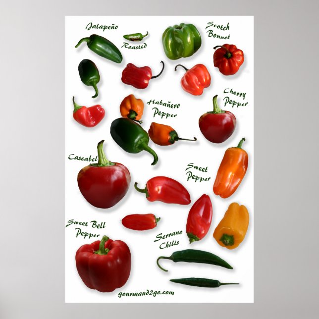 Chilli Varieties Wall Art (Front)