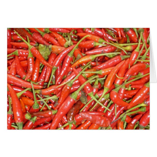 chillies red (Front Horizontal)