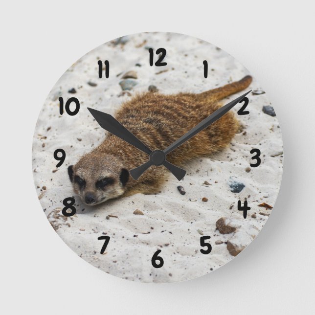 Chillin' Meerkat Clock (Front)