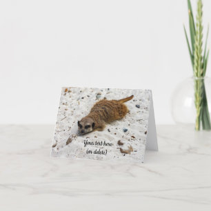 Chillin' Meerkat Folded Greeting Card