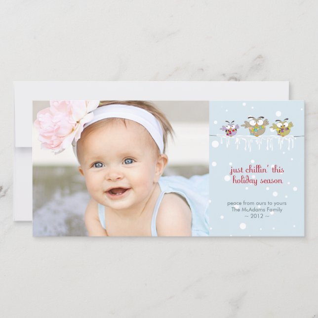 Chillin' Owls Premium 4x8 Photo Card (Front)