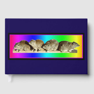 Chilling African Hyrax Guest Book