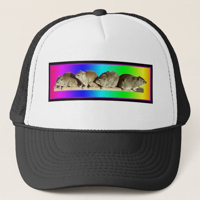 Chilling African Hyrax Trucker Hat (Front)