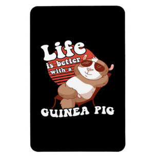 Chilling Guinea Pig Life Is Better With Guinea Pig Magnet