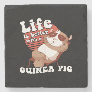 Chilling Guinea Pig Life Is Better With Guinea Pig Stone Coaster
