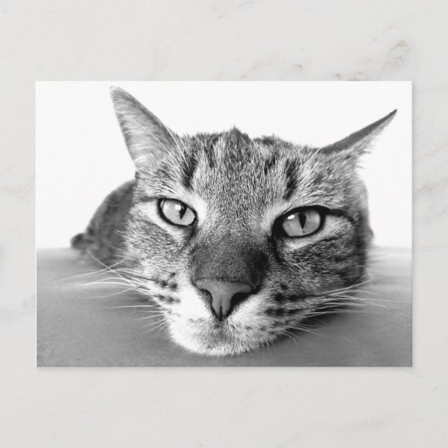 Chilling out postcard (Front)